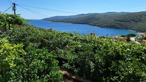 Eine Küstenlandschaft mit üppiger Vegetation und freiem Blick auf das Meer.