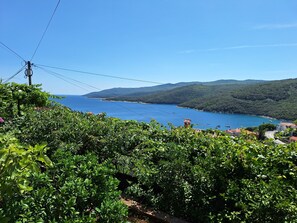 Eine Küstenlandschaft mit üppiger Vegetation und freiem Blick auf das Meer.