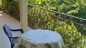Departamento (A1) | Terraza o patio