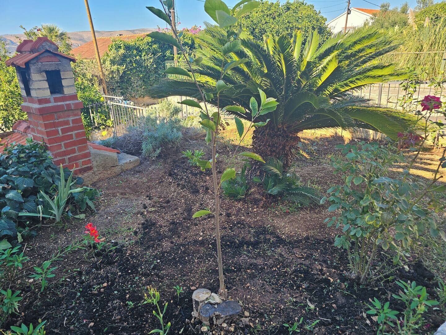 A garden with a variety of plants, a small brick structure, and a fence.