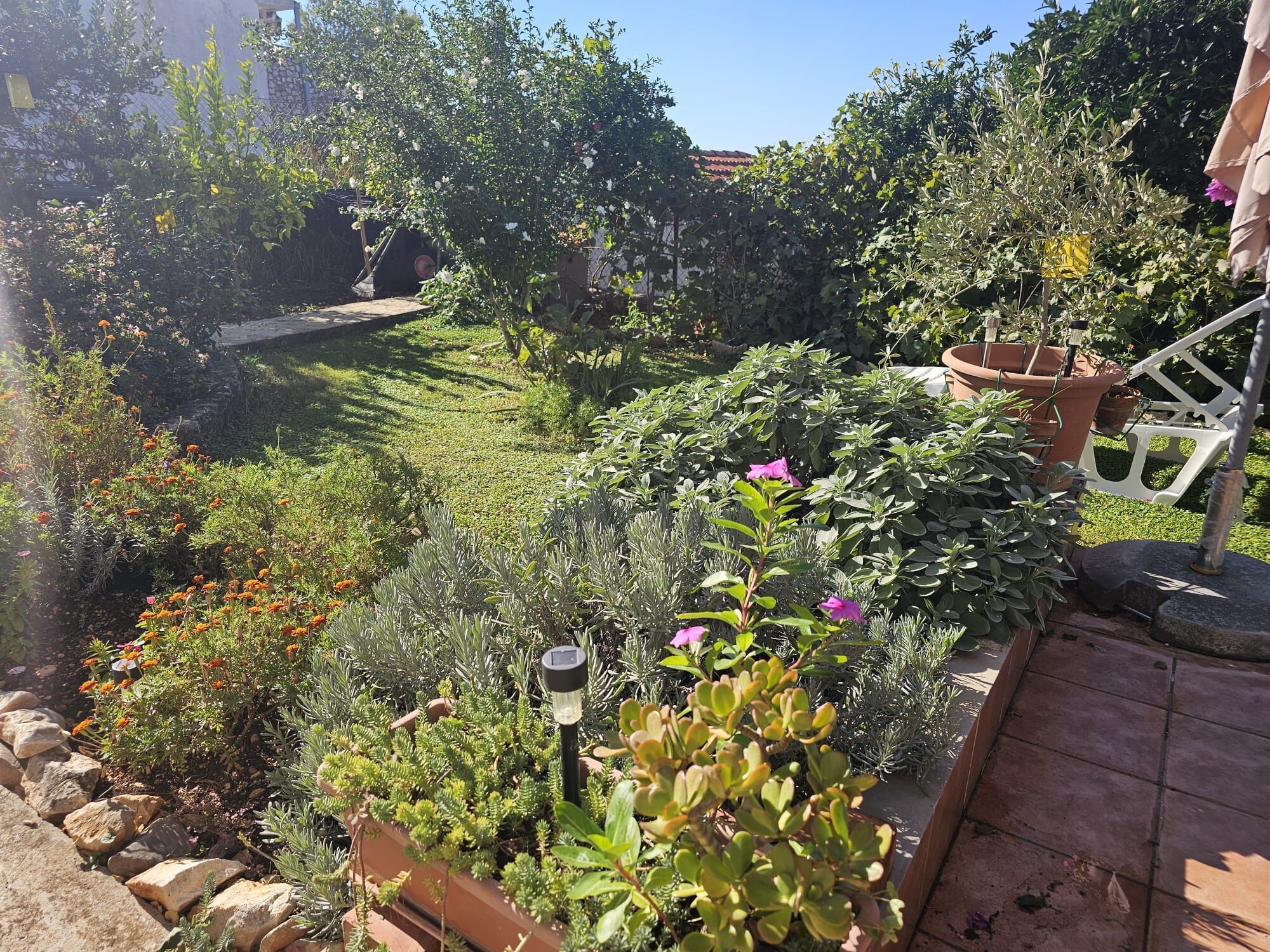 Een tuin met diverse planten en bloemen, een pad en een witte stoel.