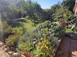 Un jardín con diversas plantas y flores, un sendero y una silla blanca.