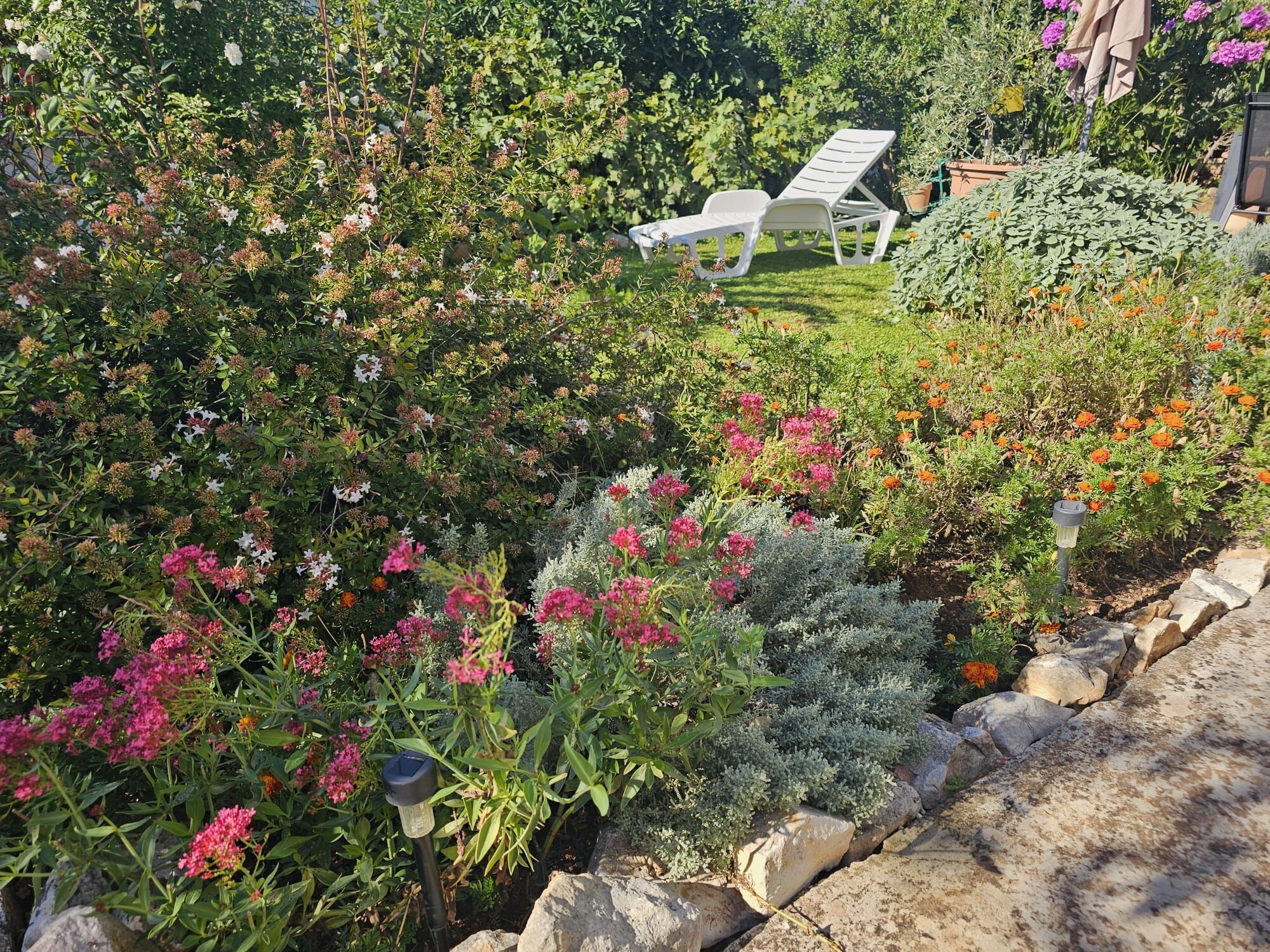 花園