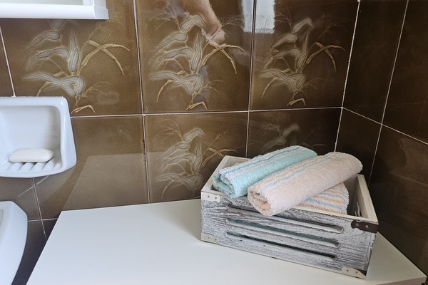 House | Bathroom | Bathtub, towels, soap, toilet paper