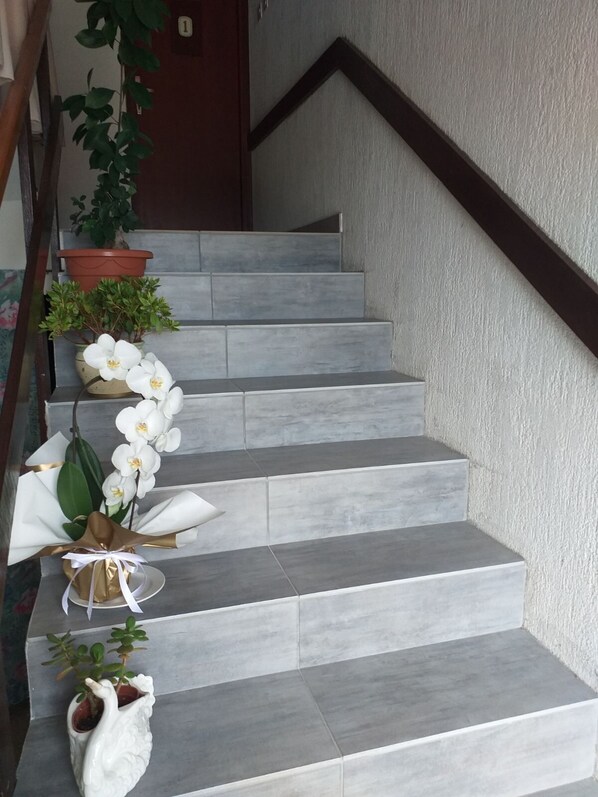 A staircase with grey steps, a potted plant on the first step, and a white vase with flowers on the second step. - Apartments and Rooms Rakic (Mali Losinj)