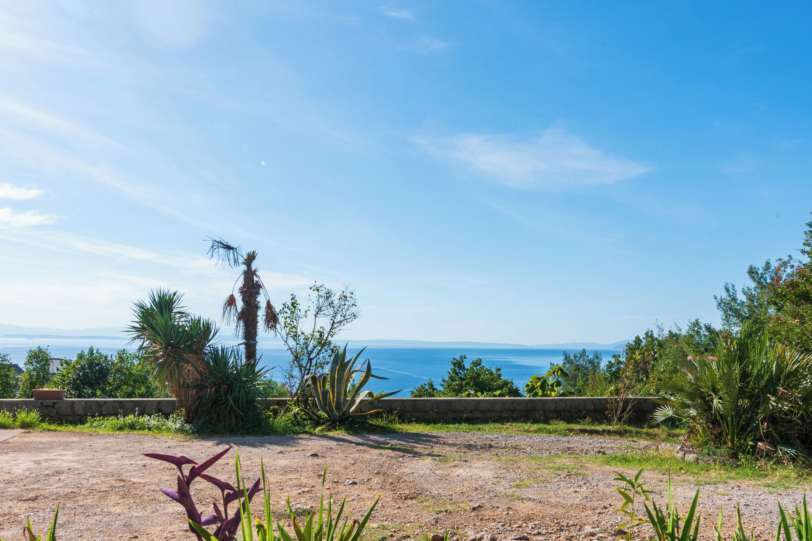 A coastal landscape with a clear sky, a dirt path, and various plants.