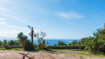 A coastal landscape with a clear sky, a dirt path, and various plants.