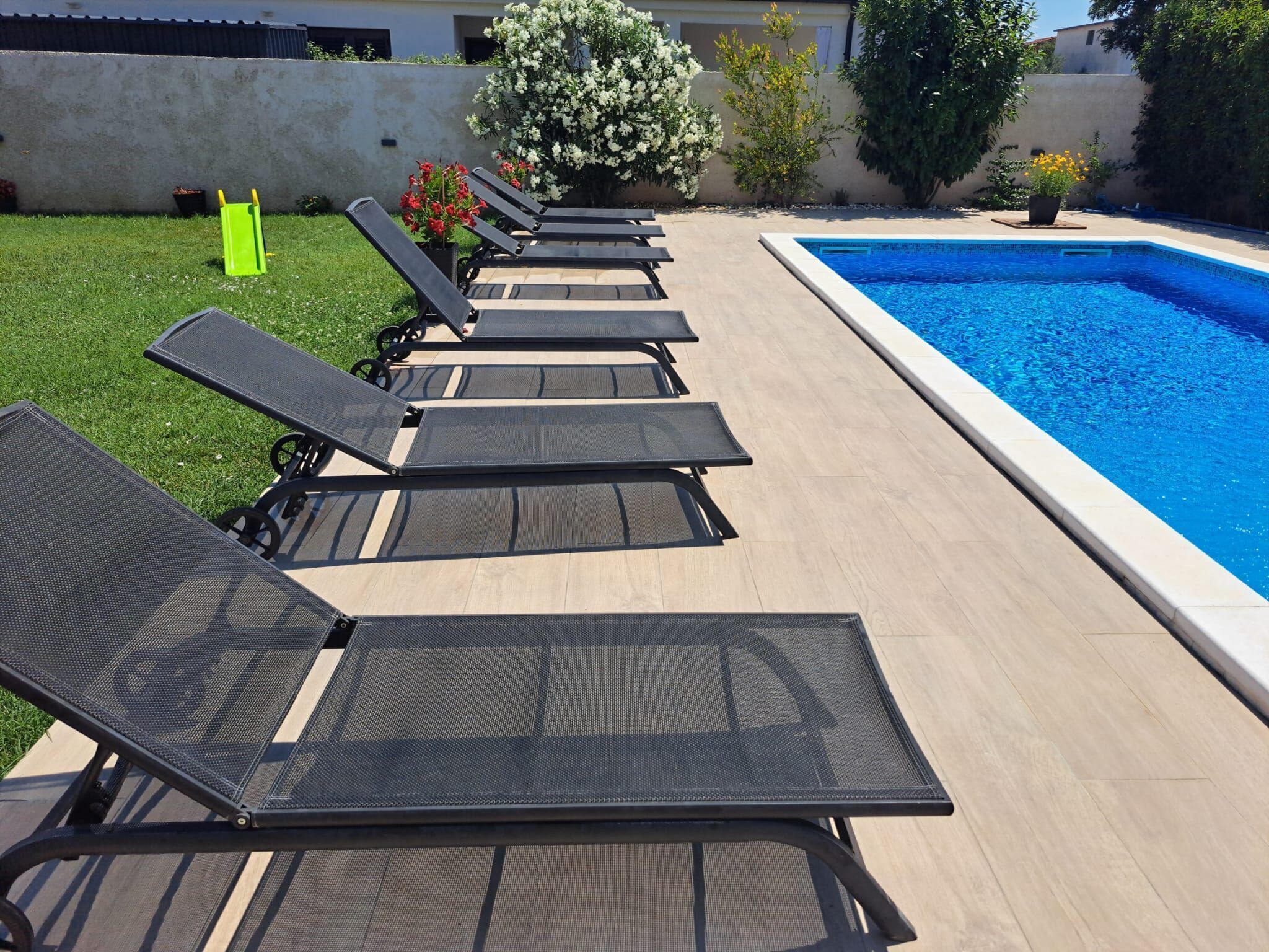 Un'area con piscina e lettini disposti lungo il bordo.