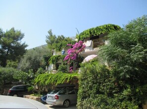 Building design - Apartments Godo (Hvar)