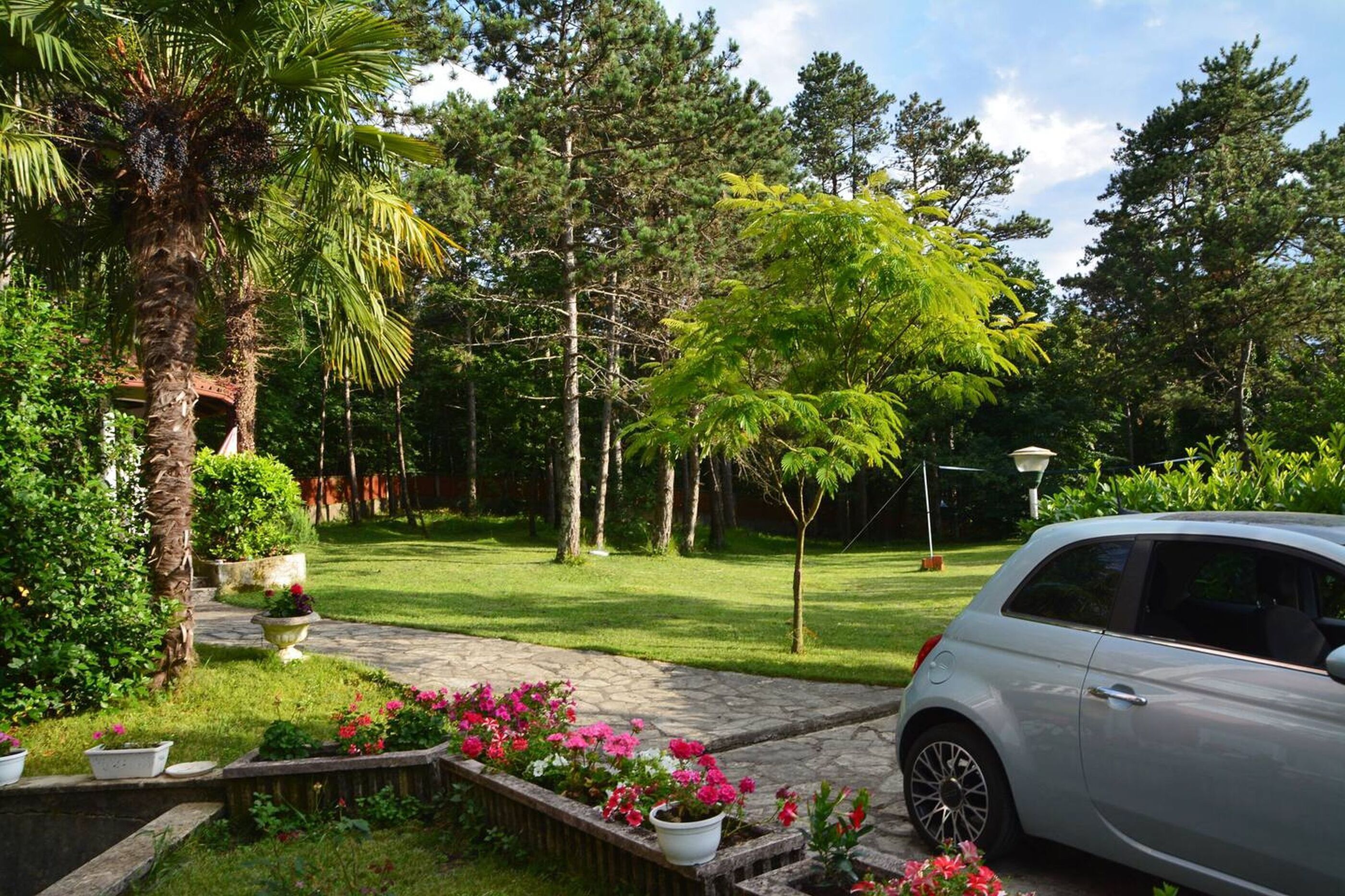 Un jardin avec un sentier, un palmier et une voiture garée.
