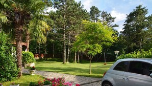 A garden with a pathway, a palm tree, and a parked car. - Apartment Villa Zizi (Viskovo)