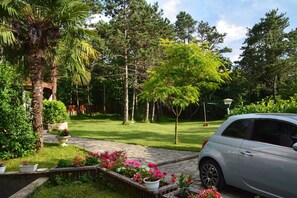 A garden with a pathway, a palm tree, and a parked car. - Apartment Villa Zizi (Viskovo)