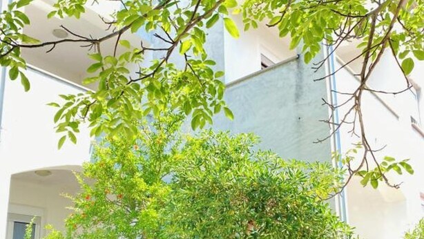 A courtyard with a tree, a brick wall, and a building in the background. - Apartments Mia (Crikvenica)