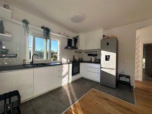 Eine moderne Küche mit weißen Schränken, einem Edelstahlkühlschrank und einem Fenster mit hängenden Pflanzen.
