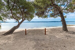 Ein Strand mit Bäumen und freiem Blick auf das Wasser.