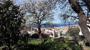 A view of a coastal town with a prominent tree in the foreground, a gate, and buildings in the background. - Apartments Nina i Harry (Senj)
