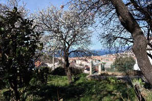 Blick auf eine Küstenstadt mit einem markanten Baum im Vordergrund, einem Tor und Gebäuden im Hintergrund.