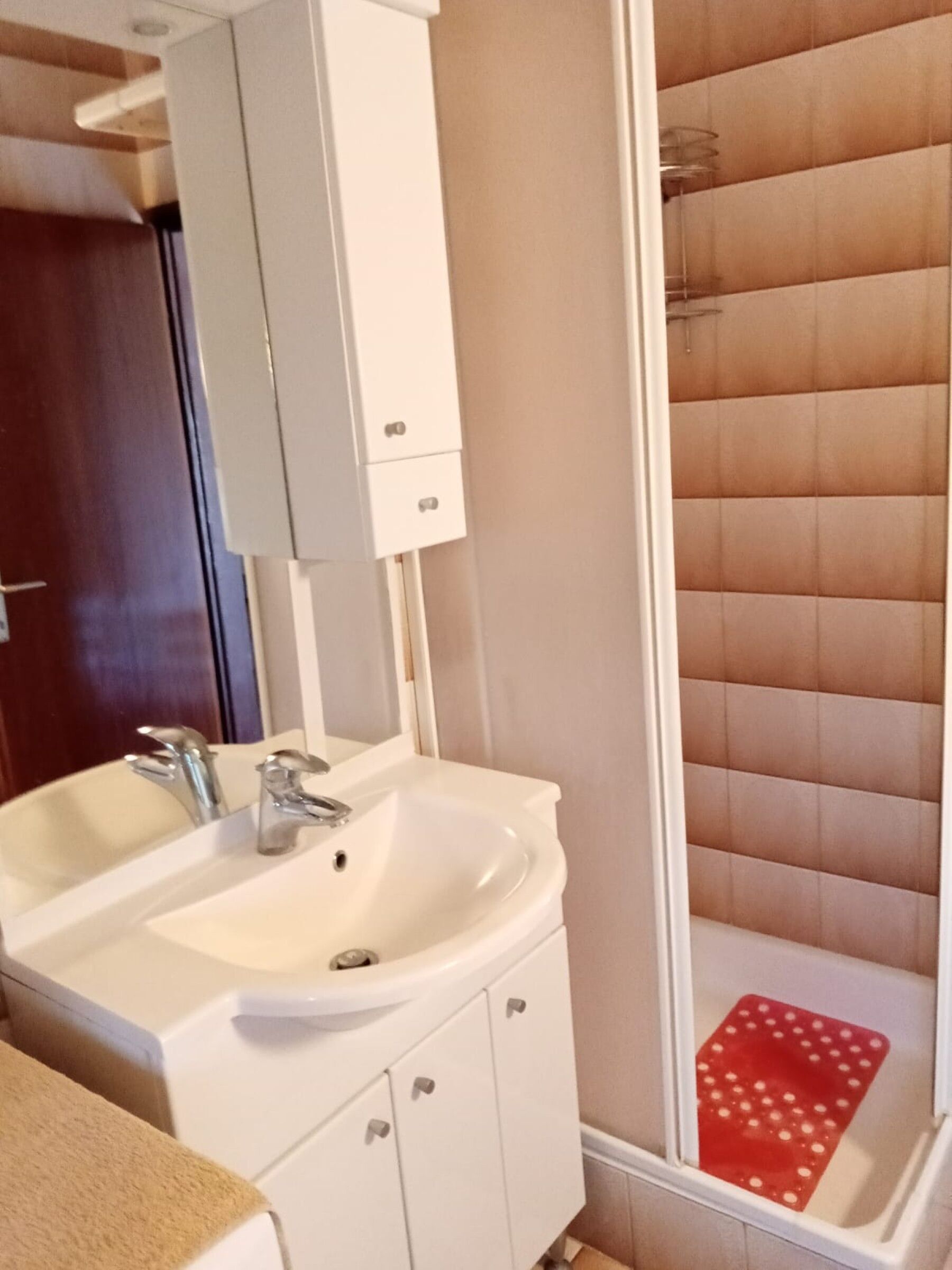 Ein Badezimmer mit einem weißen Waschbecken, einem Spiegel und einer Duschkabine.