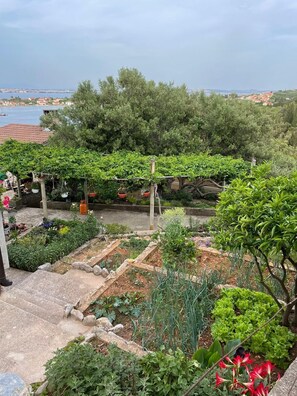 A garden with various plants and a view of the sea. - Apartment Maslina Sea View (Preko)