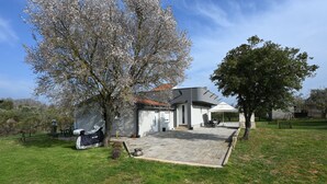 A modern house with a covered patio, a garage, and a lawn. - House Ivana (Pula)