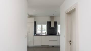 Apartment (A2) | Private kitchen | Fridge, microwave, oven, stovetop