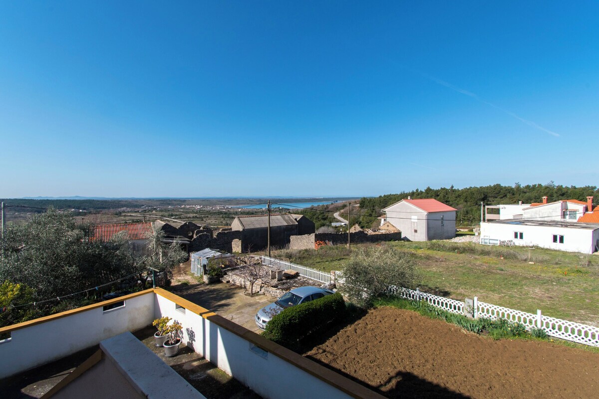 A residential area with houses, a car, and a view of the sea.