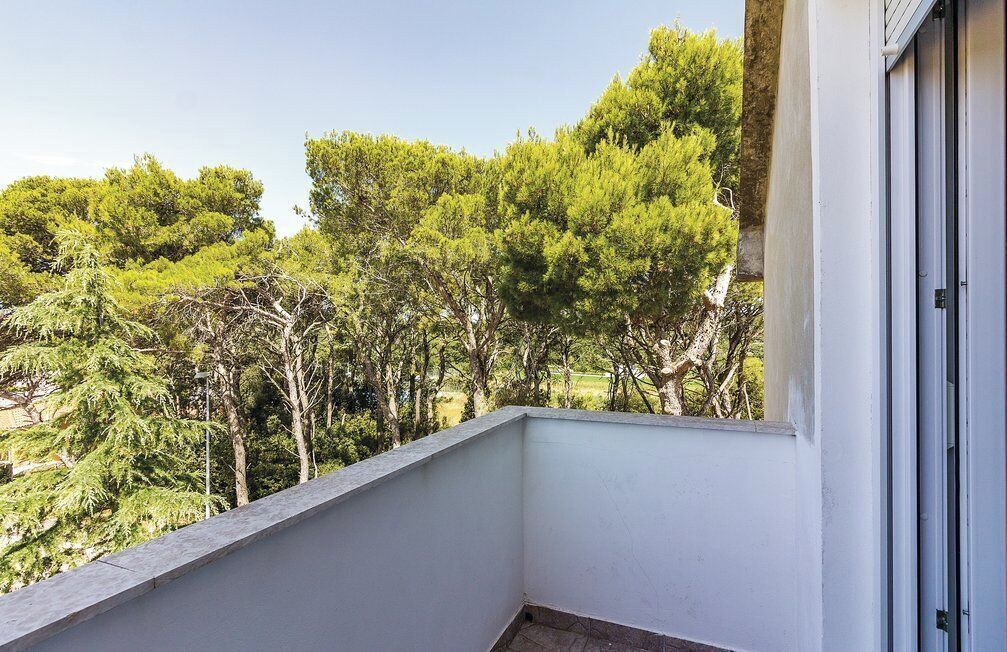 A balcony with a white railing overlooking a garden with trees.