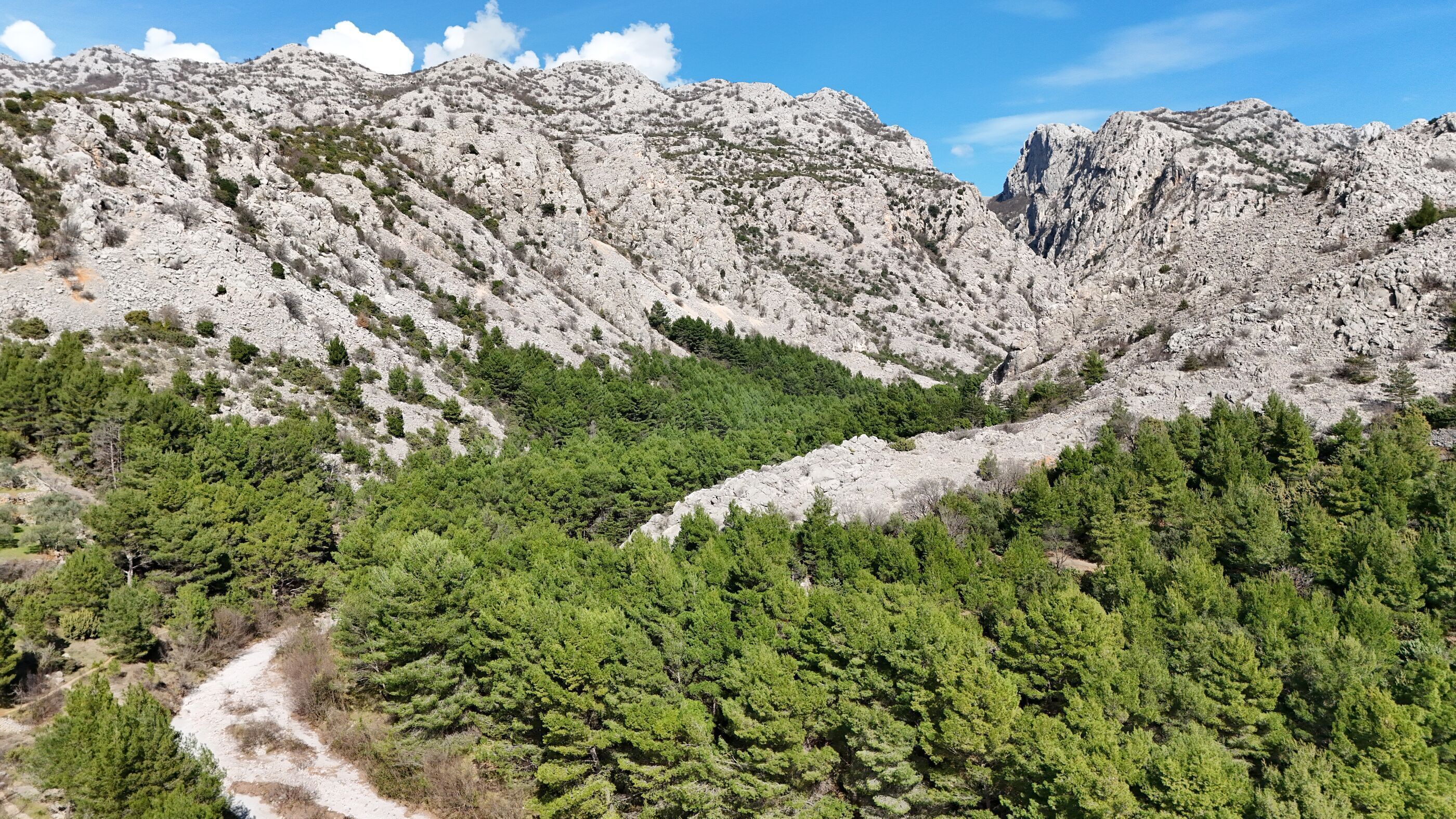 Paisagem montanhosa com densas florestas verdes e terreno rochoso.