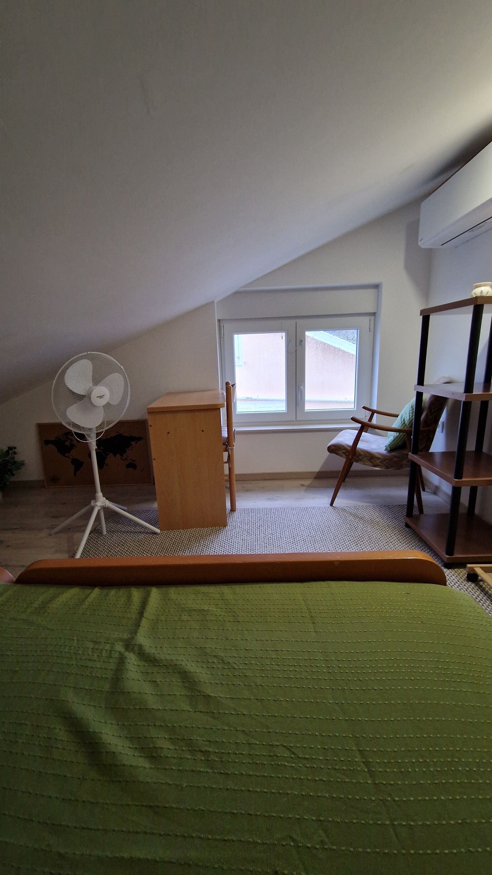 Apartment (A1) | Iron/ironing board, free WiFi