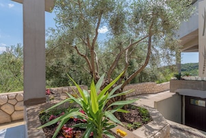 A covered outdoor area with a stone wall, a tree, and a planter with green plants.