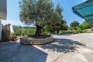 Un patio con un árbol, una maceta de piedra y la entrada de un edificio.