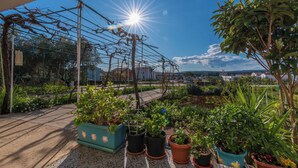 A rooftop garden with potted plants, a metal trellis, and a clear sky. - Apartment Mary (Punat)