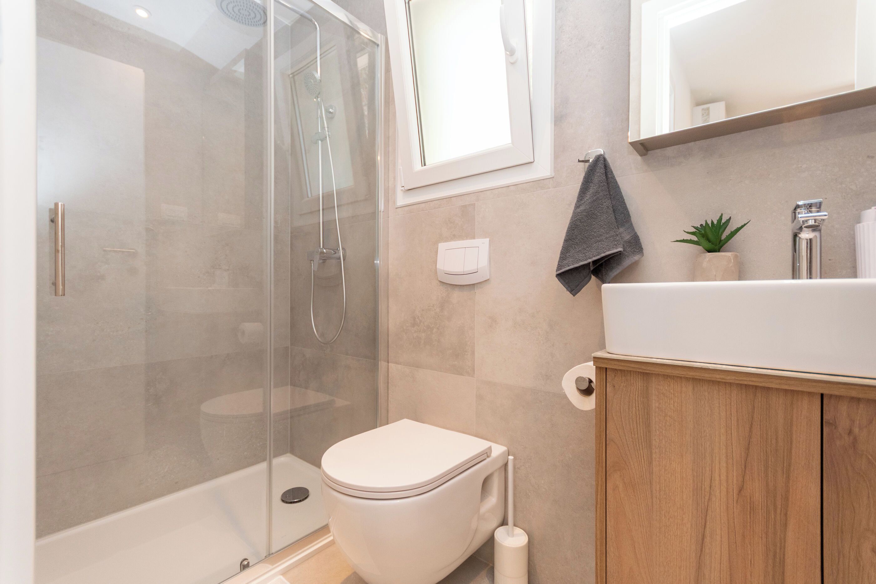 Un baño moderno con ducha de vidrio, inodoro, lavamanos con espejo y una planta pequeña sobre la encimera.