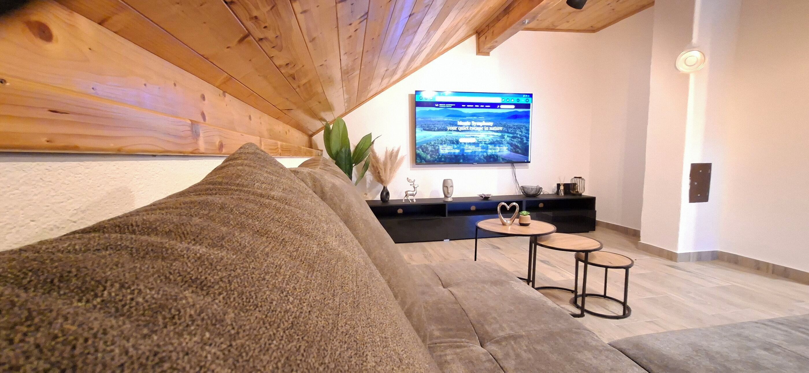 Apartment (A2) | Living room | Smart TV