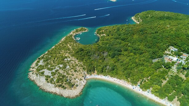 An aerial view of a coastal area with a beach, clear waters, and dense vegetation. - Apartment Sia (Crikvenica)