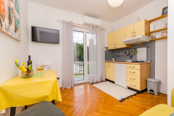 Apartment (A2) | Private kitchen | Fridge, microwave, oven, stovetop