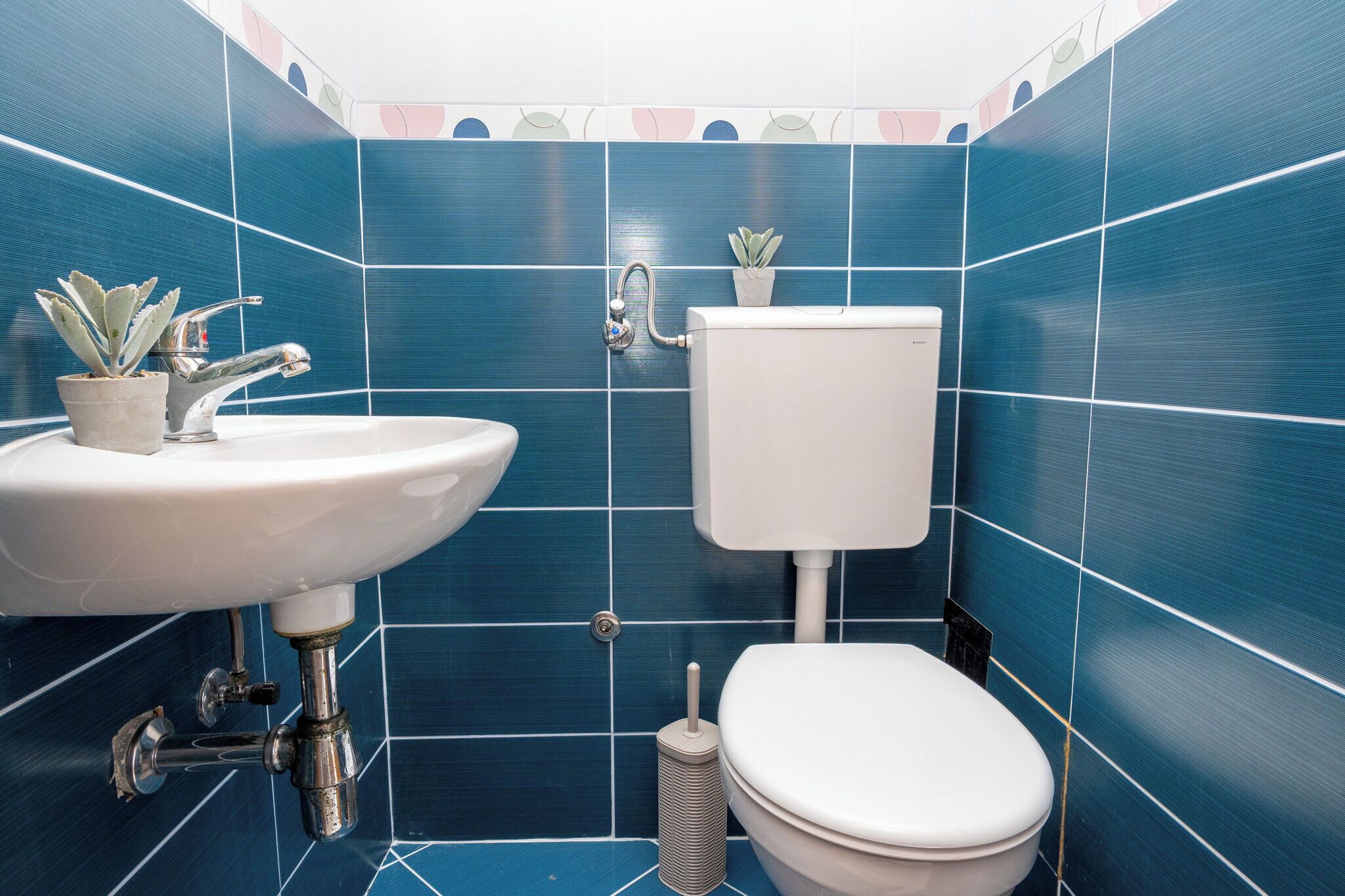 Un bagno con lavandino, servizi igienici e una piccola pianta in vaso.