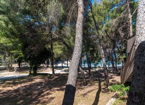 Ein bewaldetes Gebiet mit Bäumen, blauem Himmel und einem Gewässer im Hintergrund.
