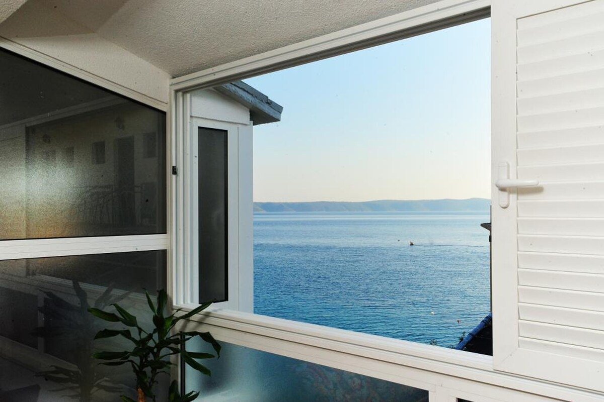 Ein Zimmer mit Fensterblick auf ein Gewässer, einer Pflanze im Fensterbrett und einer teilweise sichtbaren Tür.