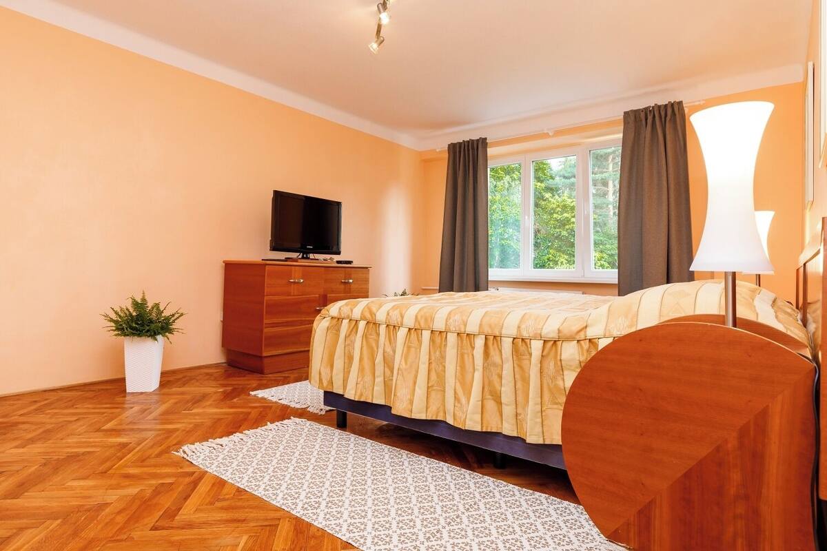 A bedroom with a bed, a TV on a dresser, a window with curtains, and a potted plant.