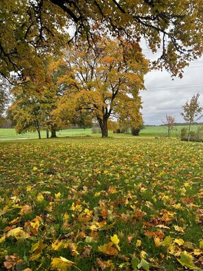 Property grounds - Latvian country house with large garden - ideal for families (Talsi Municipality)