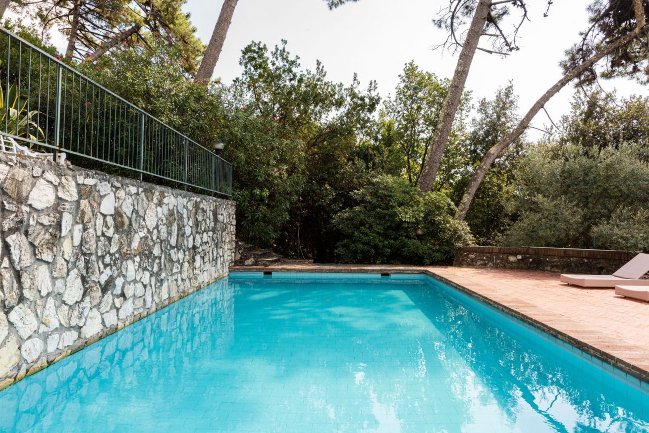 Ein Schwimmbecken mit einer Steinmauer auf der einen Seite und einer Holzterrasse auf der anderen, umgeben von Bäumen.