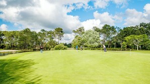 Un campo da golf con un green curato, alberi e un cielo sereno.