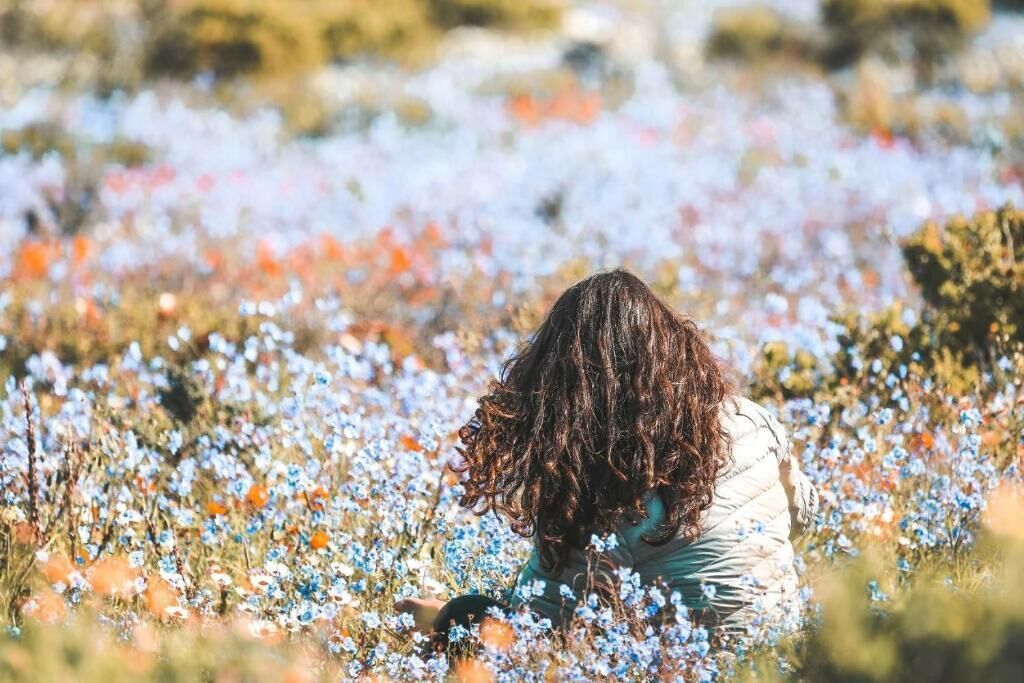A person sitting in a field of flowers.