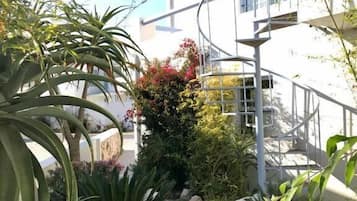 House, Multiple Bedrooms | Garden