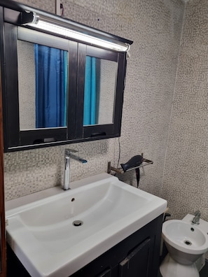 Een haardroger, een bidet, handdoeken, toiletpapier