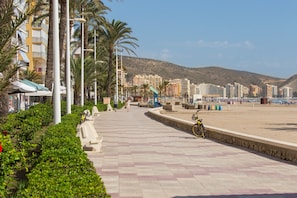 Eine Uferpromenade mit Palmen, einem Strand und Gebäuden im Hintergrund.