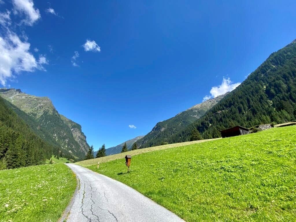 A rural road curving through a green field with mountains in the background.