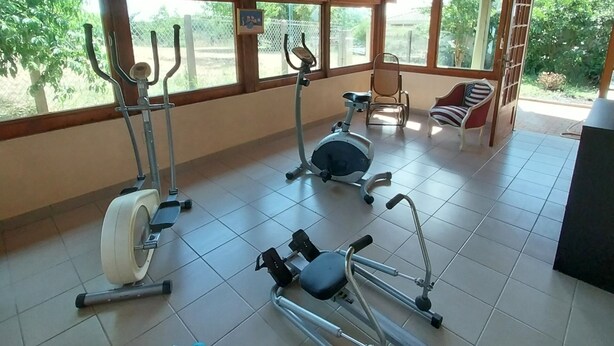Ein überdachter Fitnessbereich mit Trainingsgeräten, großen Fenstern und Blick auf Grünfläche.