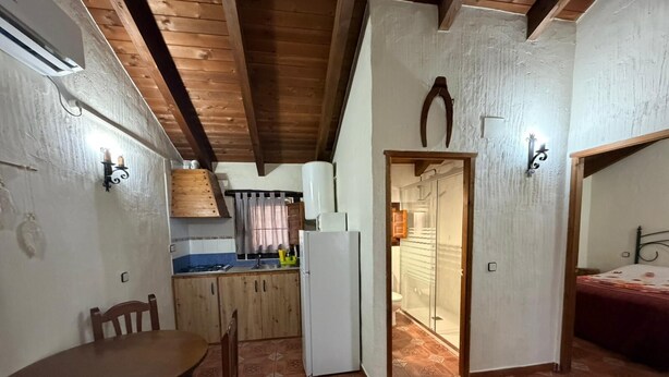 A compact room with a dining table, chairs, a kitchen area with cabinets and a refrigerator, and a shower area.